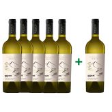 pirveli-winery-კახური-მწვანე-კლასიკი
